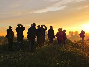 Nieuws - Vroege vogels